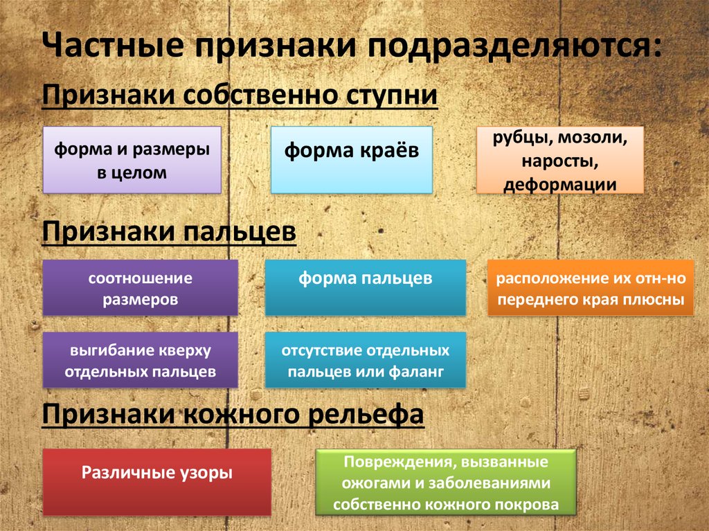 Собственный признак. Что такое хозяйственно-полезные признаки?. Признаки подразделяются на. Индивидуальные признаки человека. Признаки подразделяют на количественные и.