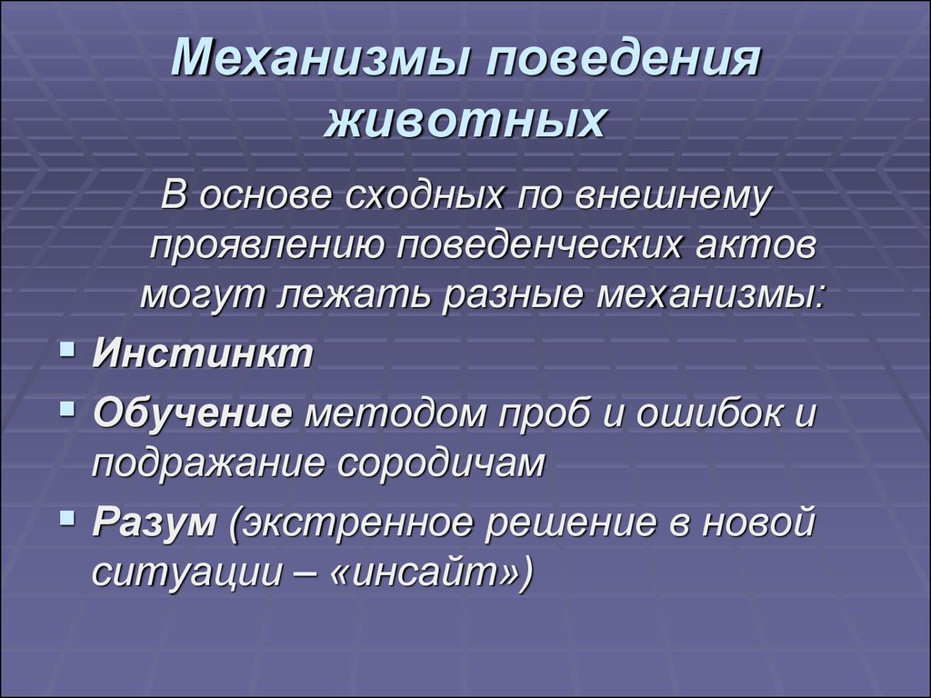 Является основой поведения. Механизмы поведения животных. Механизмы инстинктов животных. Механизмы поведения человека. Поведенческий механизм.