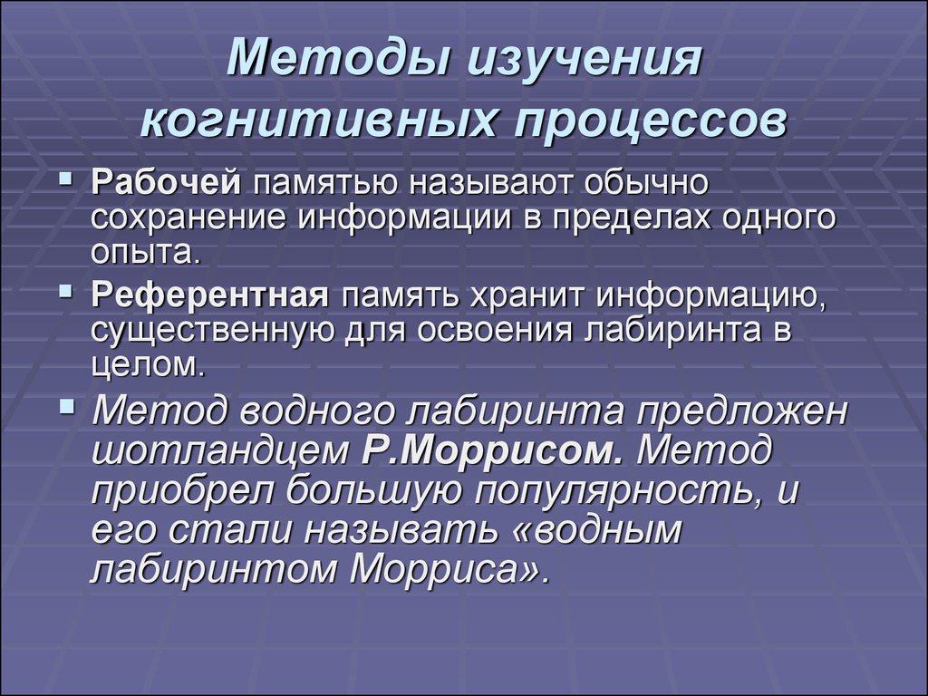 Рассудочная деятельность презентация