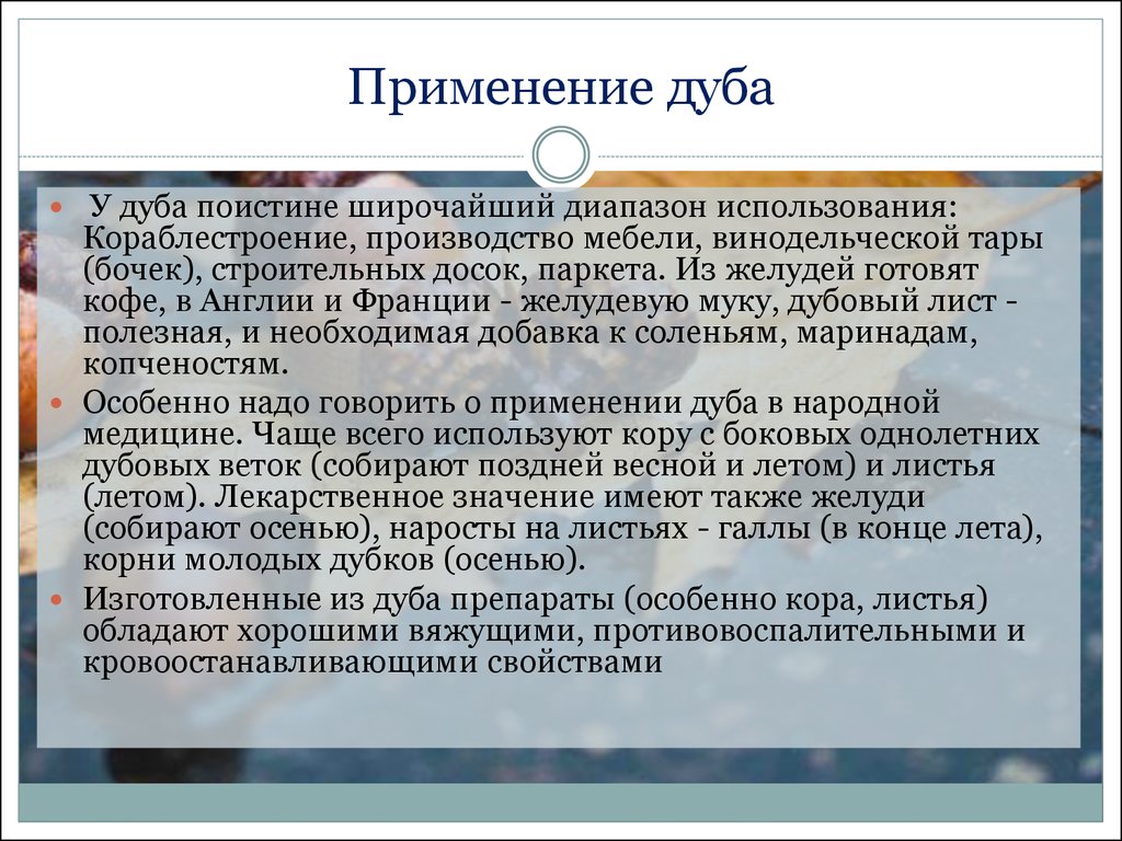 Применение дуба. Свойства использования дуба. Применение дубовой древесины. Хозяйственное значение дуба.