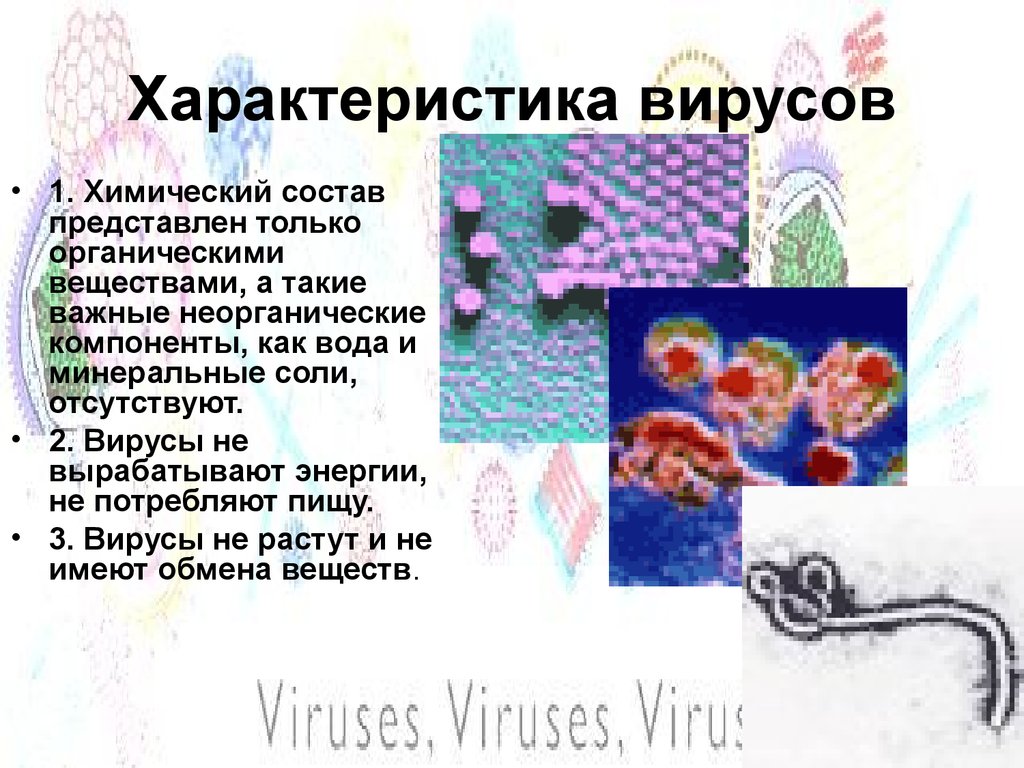 Характеристика вирусов