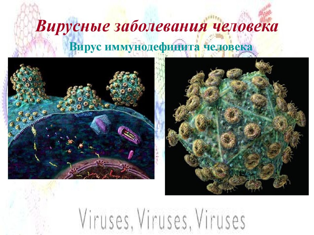 Названия вирусов человека