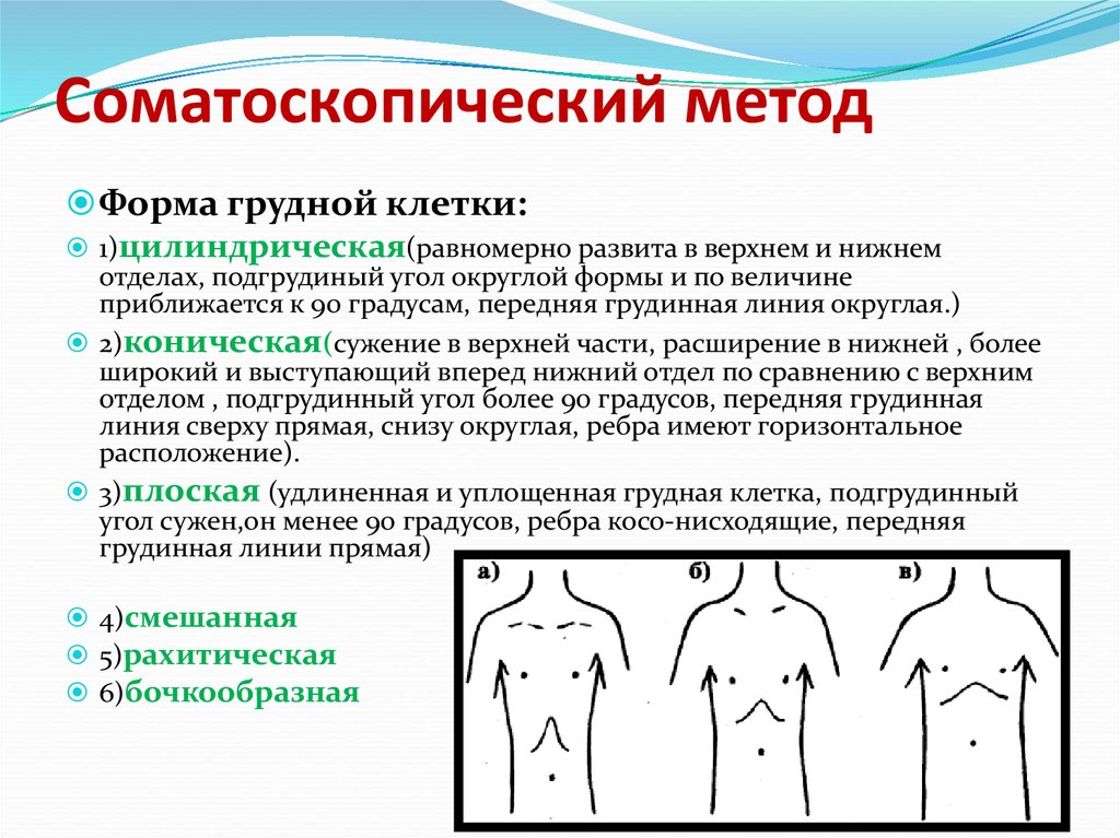 Лабораторная работа измерение грудной клетки