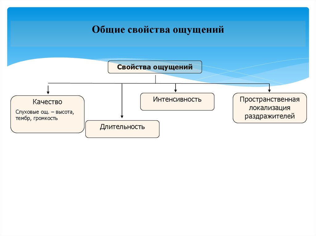 Свойства ощущений презентация