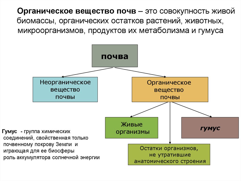 Как называется плодородный слой содержащий органические соединения. Органическое вещество почвы. Неорганические вещества в почве. Основное органическое вещество почвы. Источники органического вещества в почве.