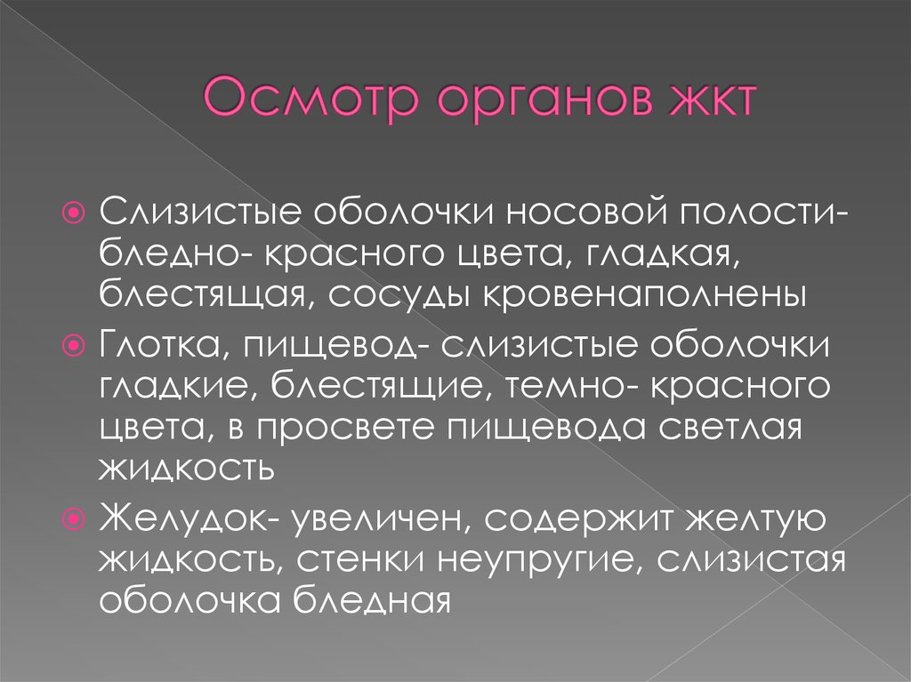 Осмотр органов жкт