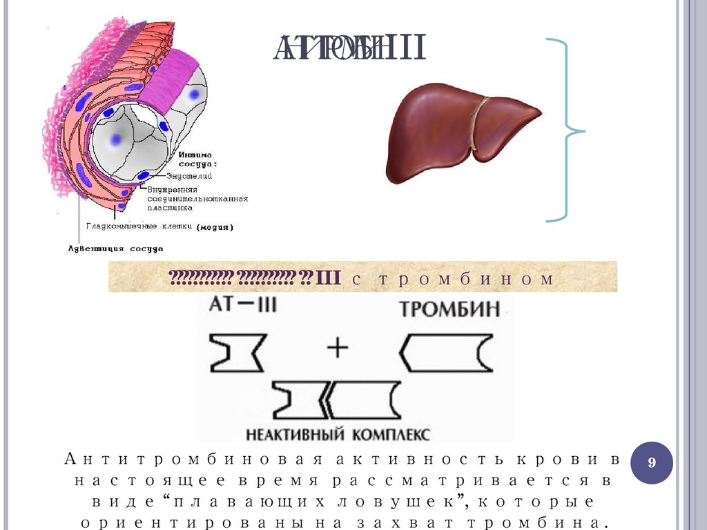 Антитромбин 3 схема. Антитромбин lll механизм. Антитромбин действие. Антитромбин 3 место синтеза.