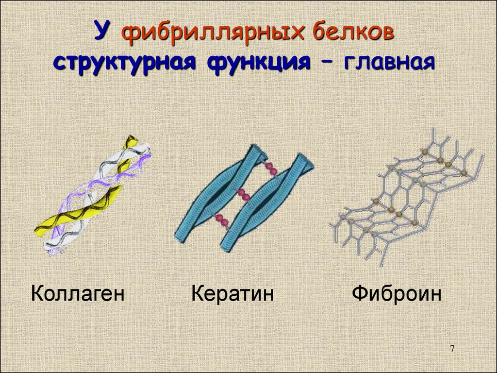 Фибриллярные подергивания мышц