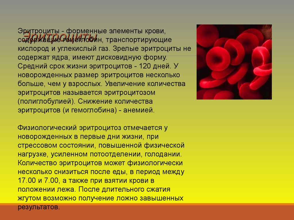 Эритроциты в крови у мужчин после 50. Эритроциты. Повышено эгитроцитв и гемоглобина. Эритроциты в крови. Форменные элементы крови гемоглобин.