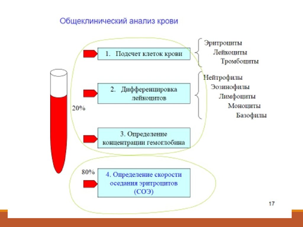 Этапы анализа крови