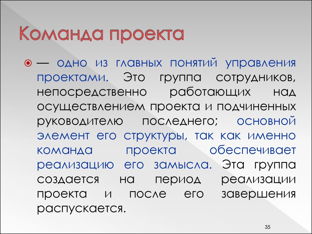 Группа специалистов непосредственно работающих над реализацией проекта