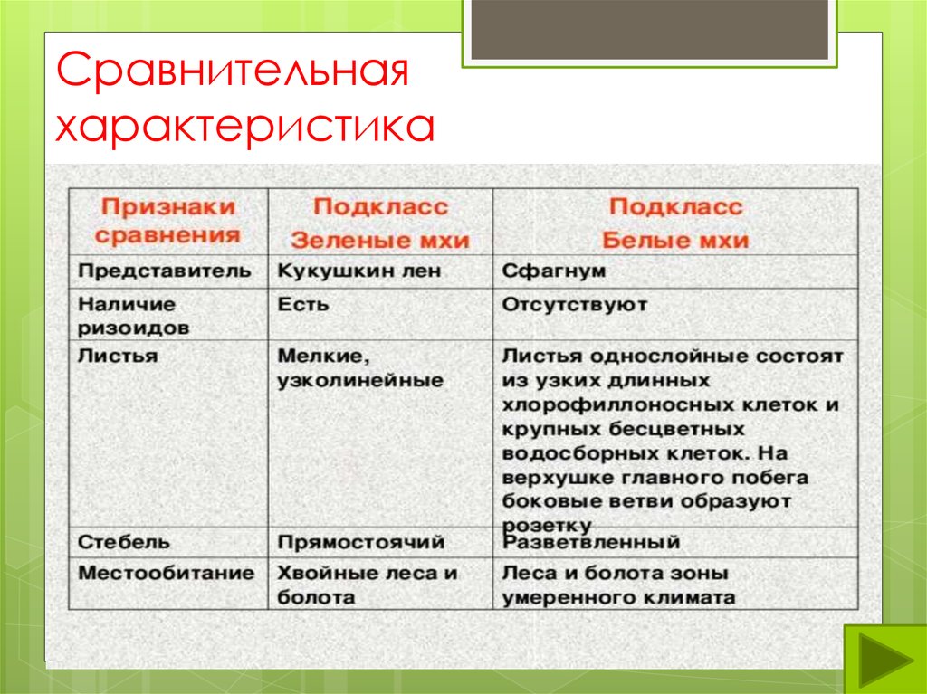 Характеристика белых. Сравнительная характеристика. Сравнение характеристик. Сравнительная характеристика белого. Сравнительная характеристика белого и черного.