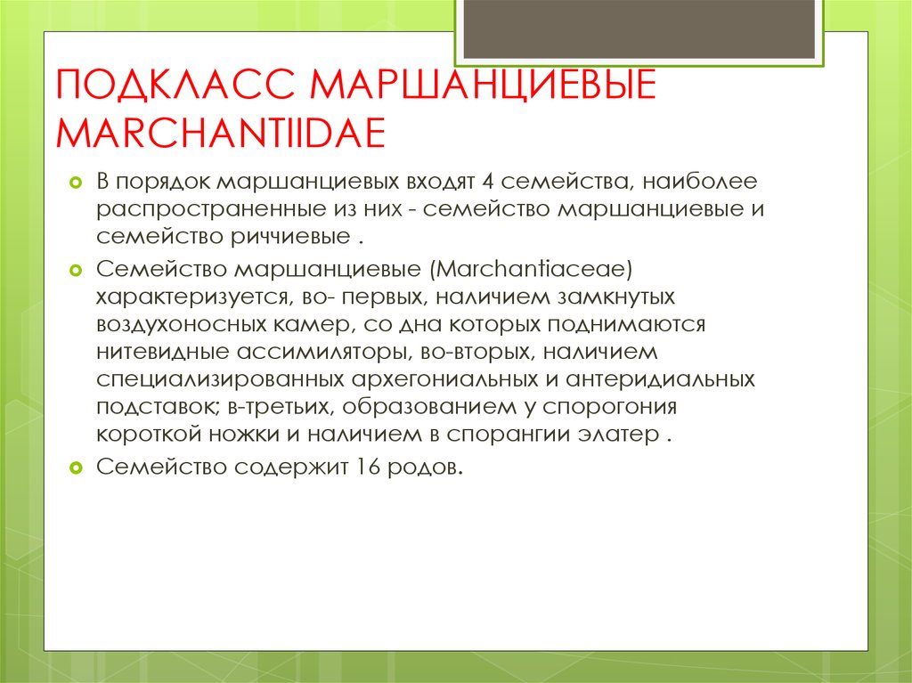 ПОДКЛАСС МАРШАНЦИЕВЫЕ MARCHANTIIDAE