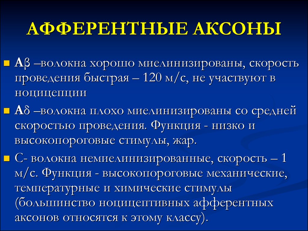 Функция проведения