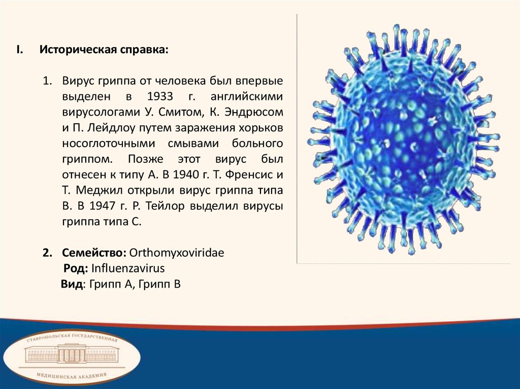 Вирус гриппа семейство. Вирус гриппа. Вирус гриппа микробиология. Строение вируса гриппа. Вирус гриппа рисунок.
