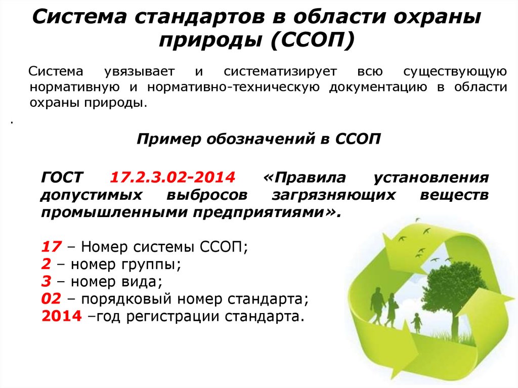 Виды охраны природы. Стандарты в области охраны природы. Стандарты подсистемы в области охраны природы. ГОСТ охрана природы. Структура системы стандартов охрана природы.