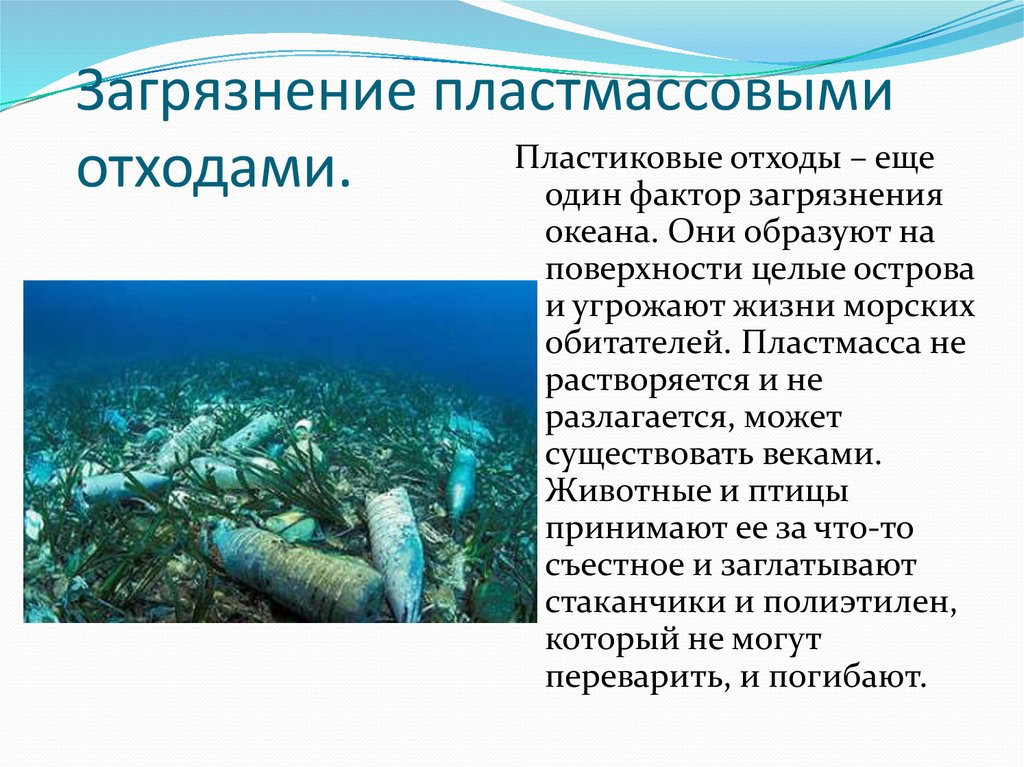 Проект загрязнение морей