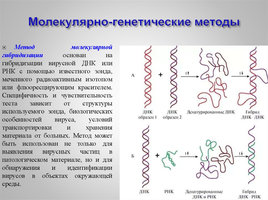 Генетический метод