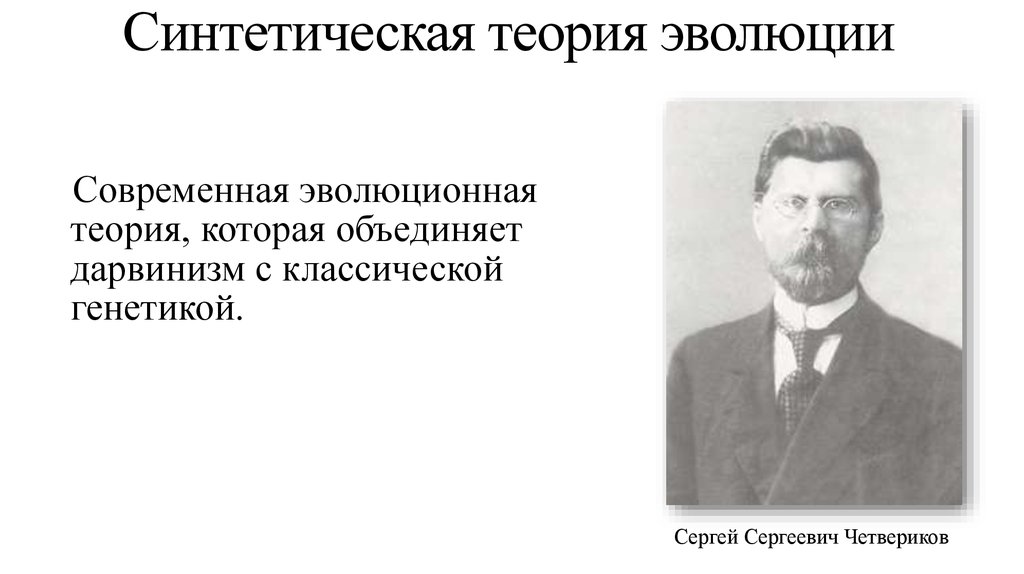 Синтетическая теория. Сергей Сергеевич Четвериков синтетическая теория эволюции. Синтетическая теория эволюции Шмальгаузен и.и Четвериков с.с. Синтетическая теория Дарвина. Теория эволюции Четверикова.