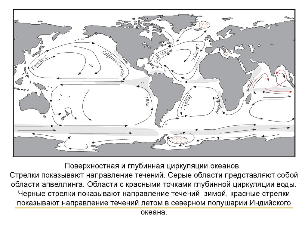 Направление течений океанов. Схема основных поверхностных течений мирового океана. Схема поверхностных течений мирового океана циркуляция. Общая схема поверхностной циркуляции вод мирового океана. Схема основные поверхности течения мирового океана.