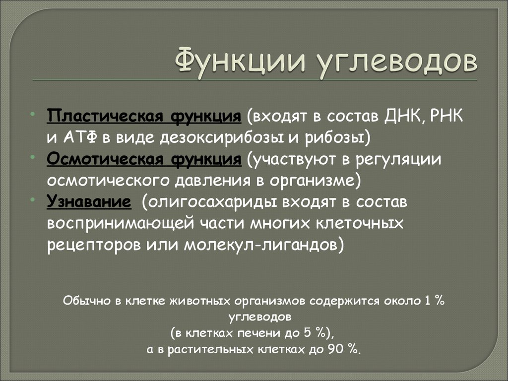 Функции углеводов. Структурная функция углеводов. Структурно пластическая функция углеводов. Перечислите основные функции углеводов. Углеводы и функции углеводов.