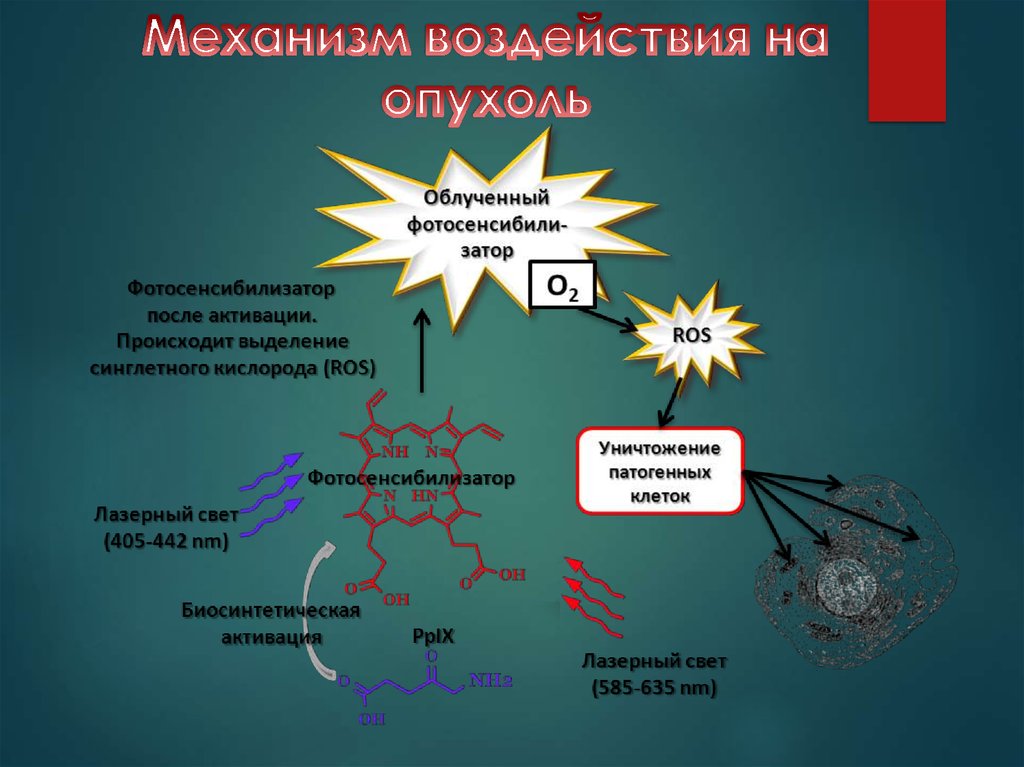 Механизмы влияния