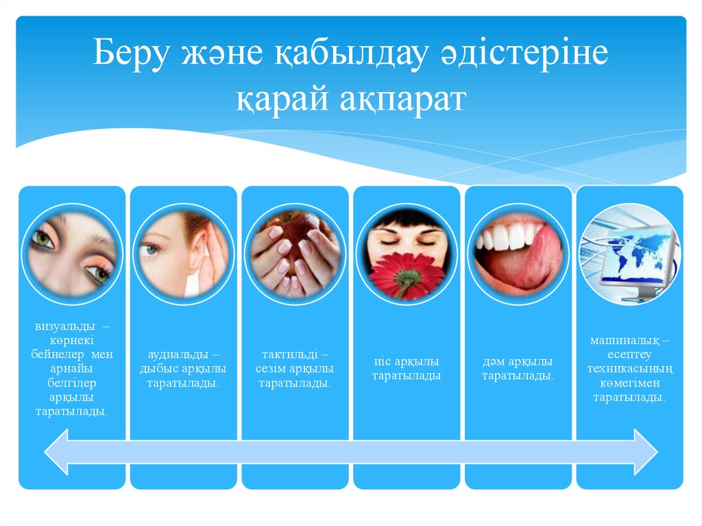 Түйсік және қабылдау презентация