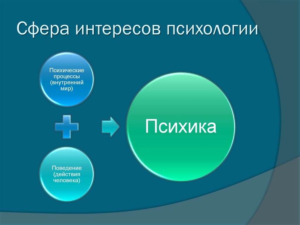 Персональная сфера. Сфера интересов. Сфера интересов в психологии. Сферы личности. Основные сферы психики.