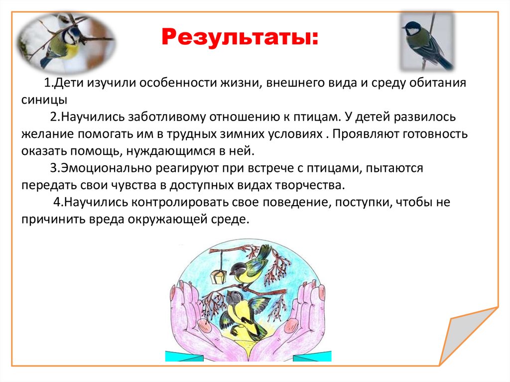 Особенности жизни. Мое отношение к сеницам. Чему люди научились у птиц детям. Карта частотности встречи с птицам.