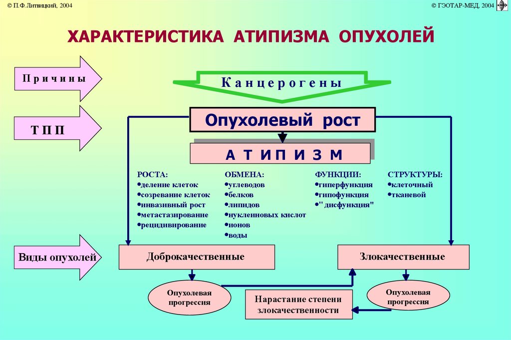 Подпишите картинки виды опухолевого роста