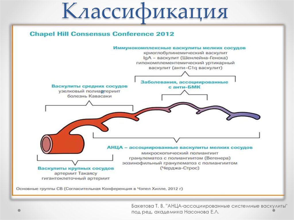 Васкулиты диагностика лечение