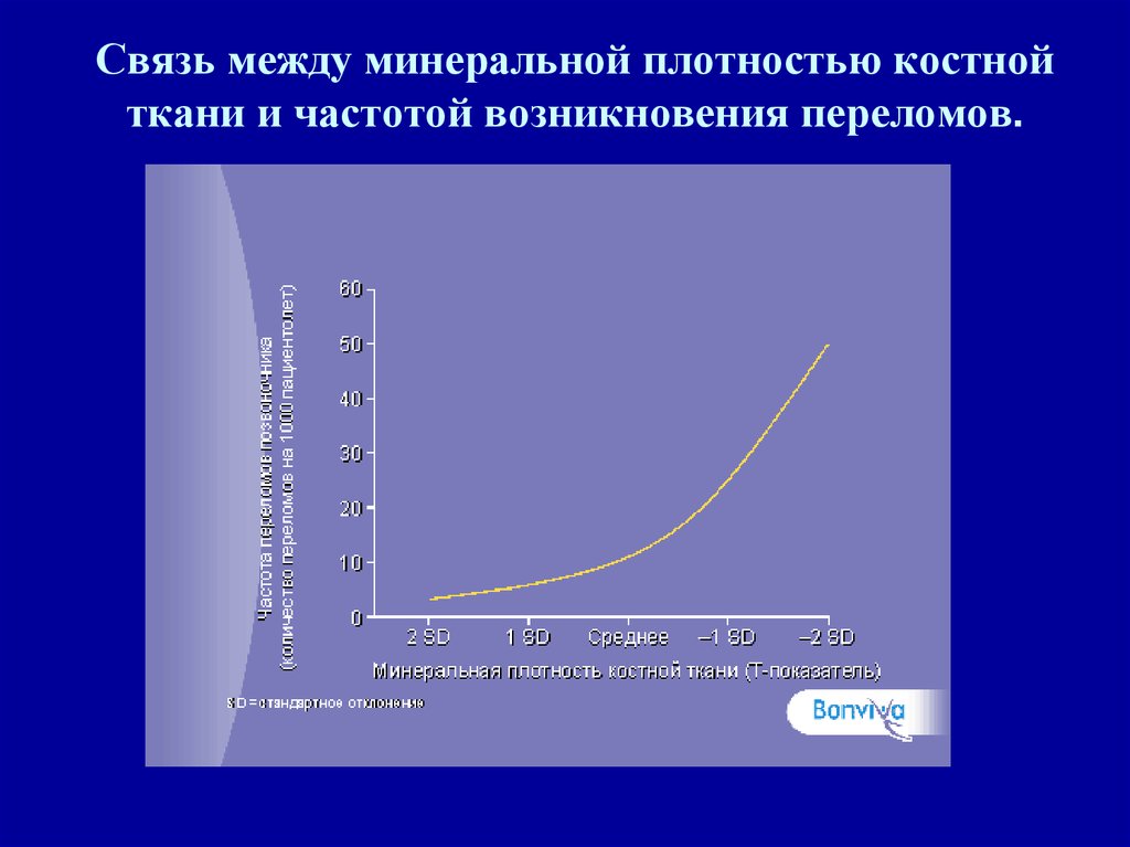 Минеральная плотность. Минеральная плотность костной ткани. Скелетная плотность. Низкая минеральная плотность костной ткани. Минеральная плотность костной ткани -2,9.