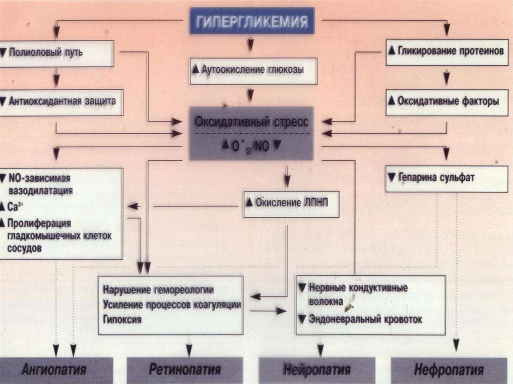 Патогенетические методы коррекции гипергликемии и гиперхолестеринемии схема