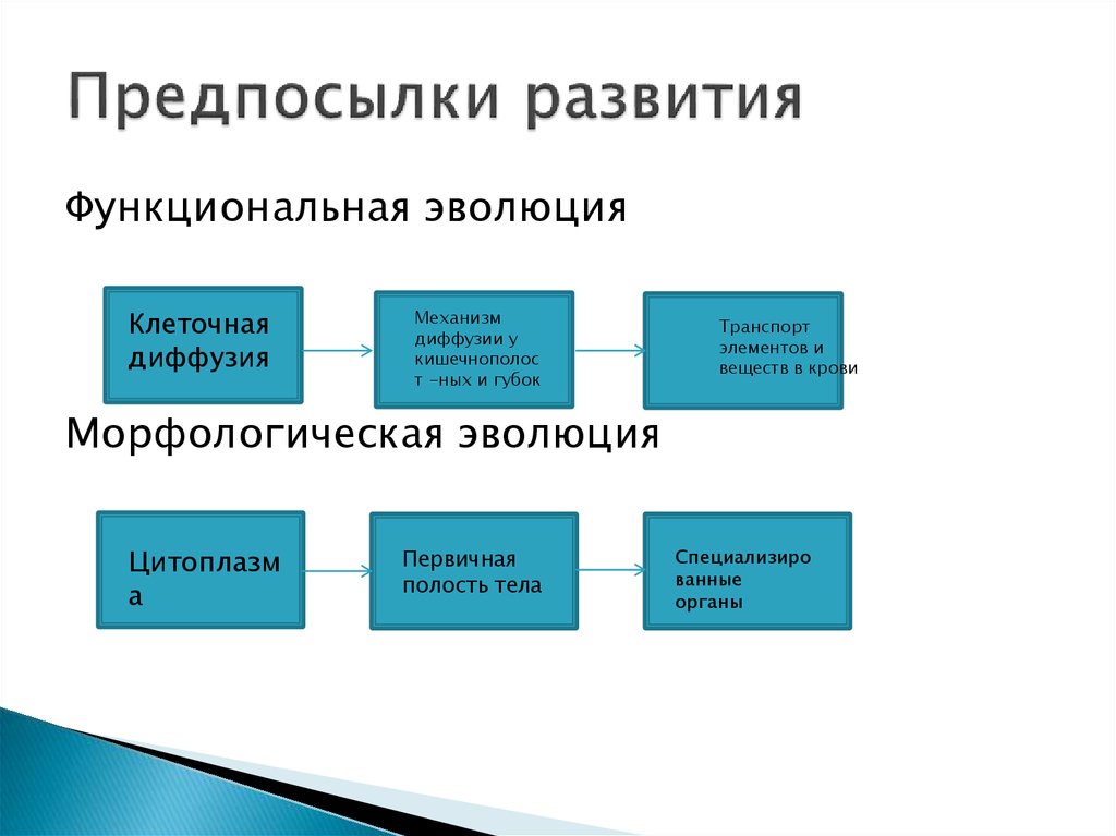 Причины развития регионов