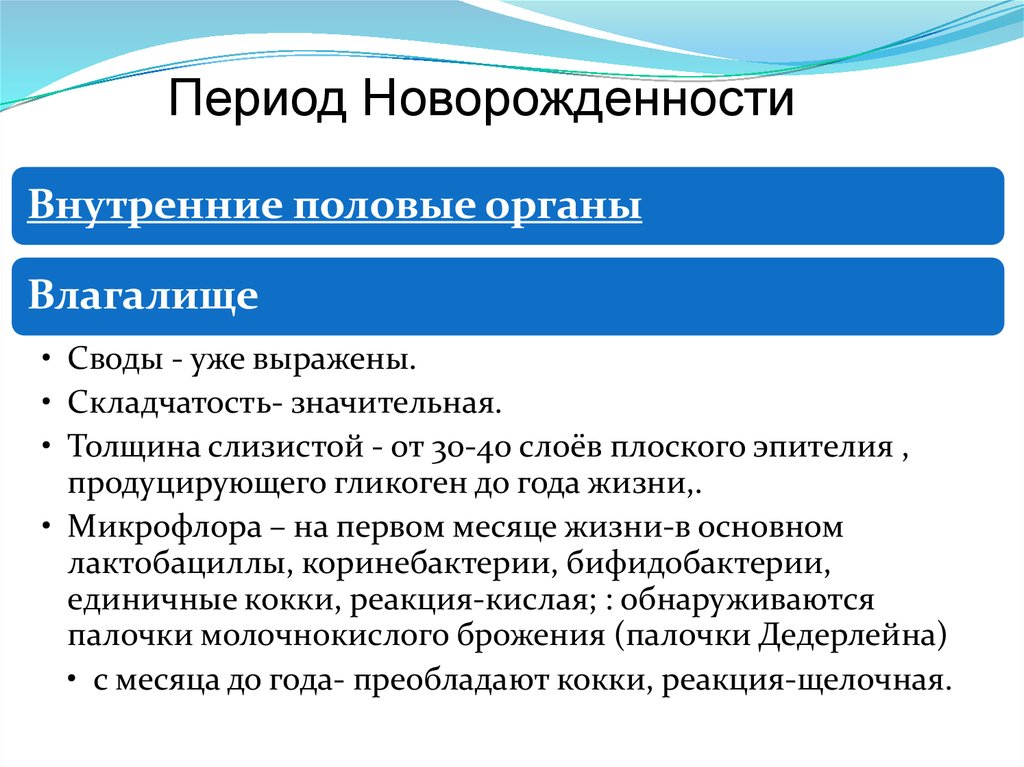 Период Новорожденности