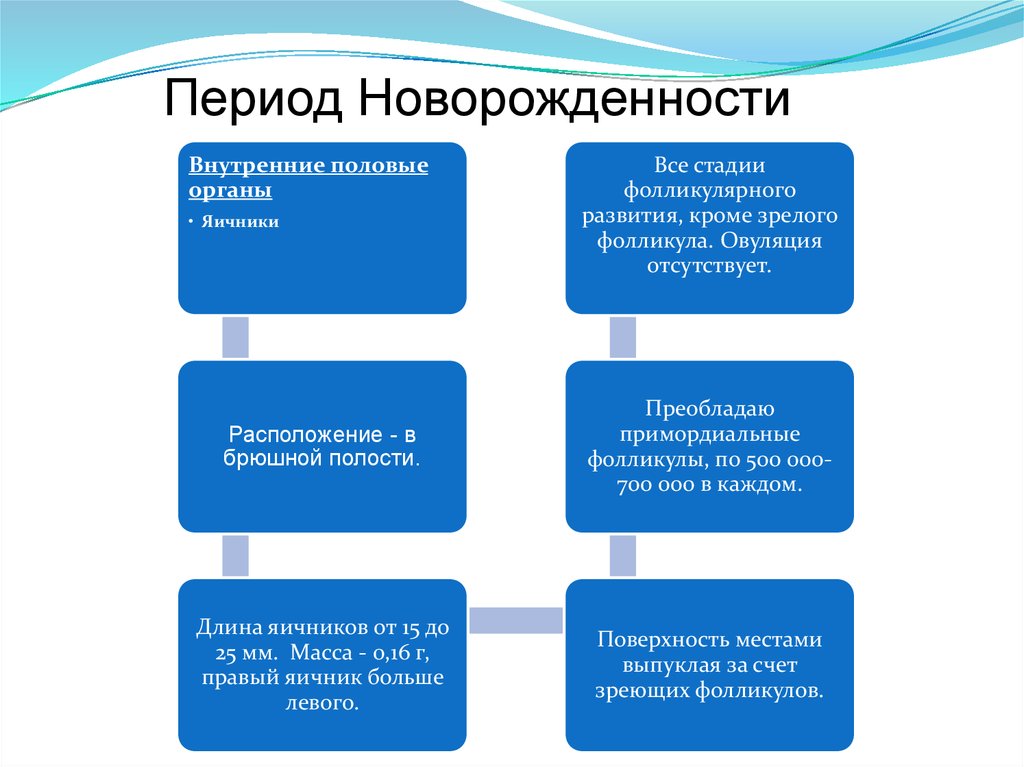 Период Новорожденности