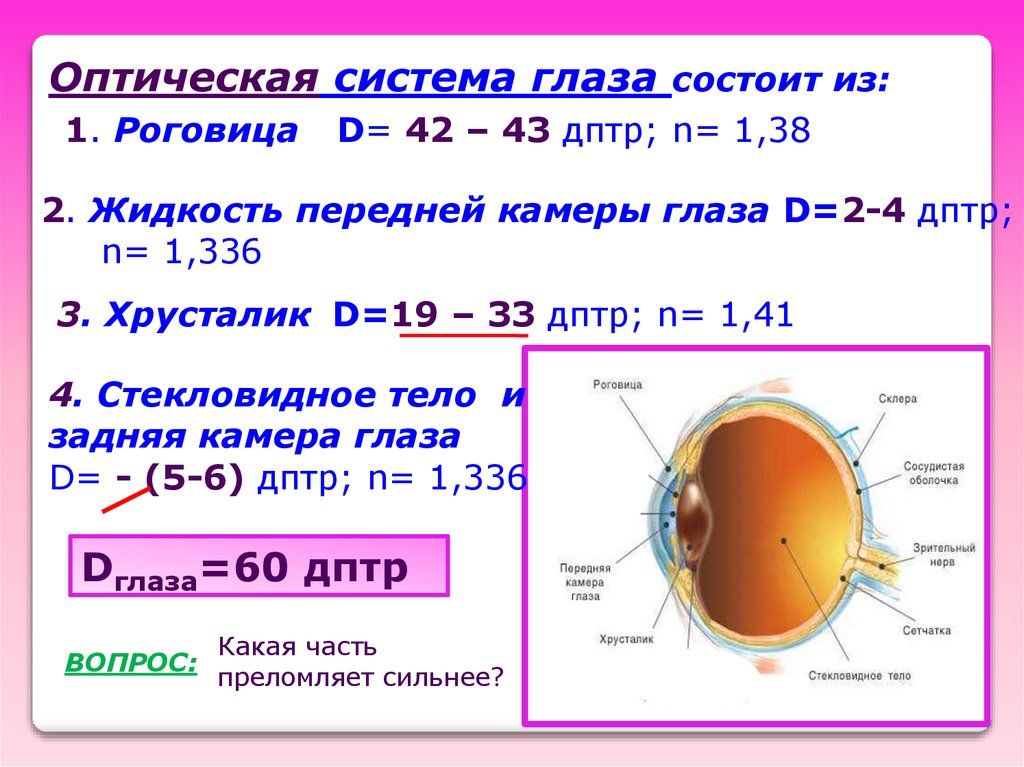 3 оптическая система глаза. Составные части оптической системы глаза. Преломляющая сила оптической системы глаза. Оптическая система ноаща. Оптическая сила роговицы в диоптриях.
