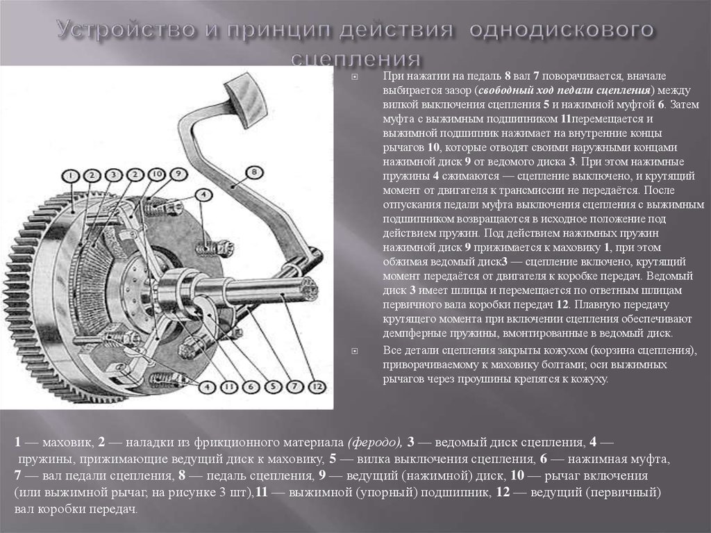 Презентация на тему сцепление