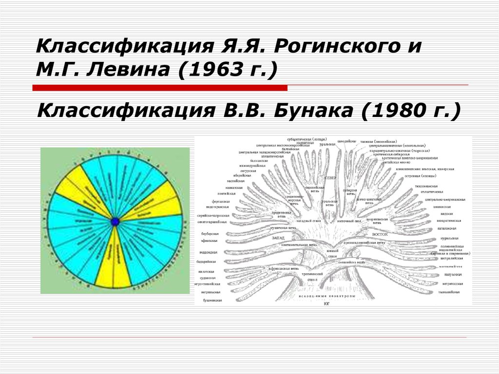 Схема расовой классификации