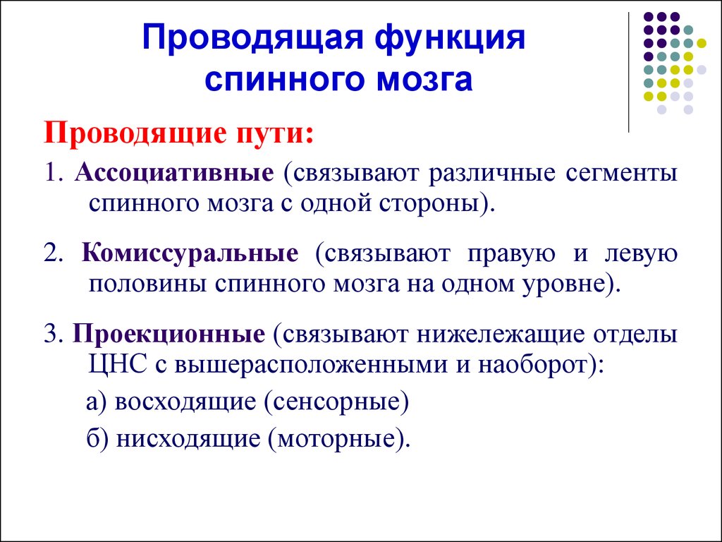 Функции спинномозгового мозга. Проводящие пути спинного мозга таблица функции. Проводящие пути спинного мозга функции. Функции проводящих путей спинного мозга таблица. Проводящая функция спинного мозга.