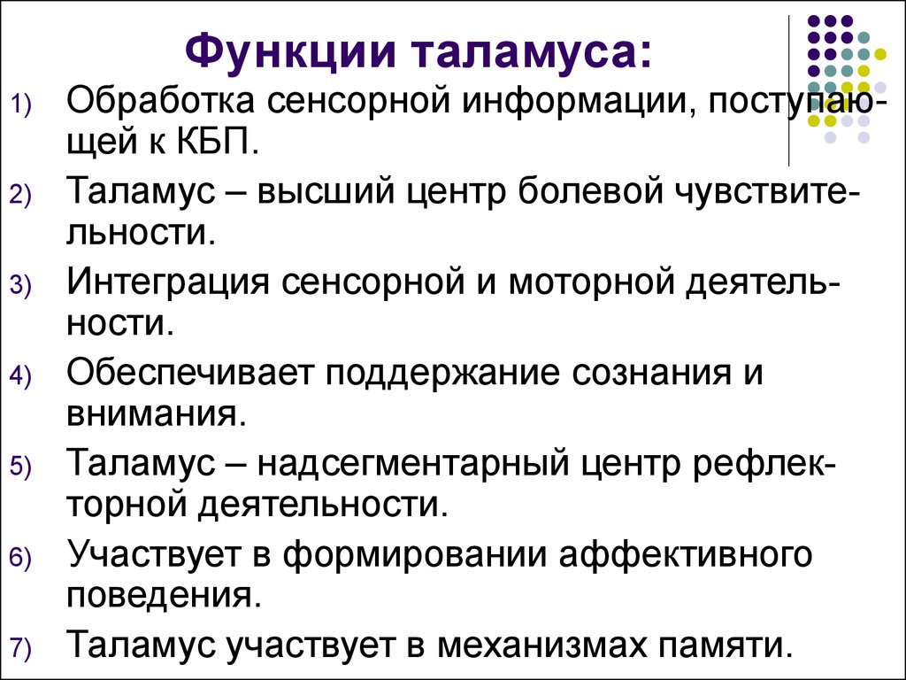 Функции таламуса промежуточного мозга