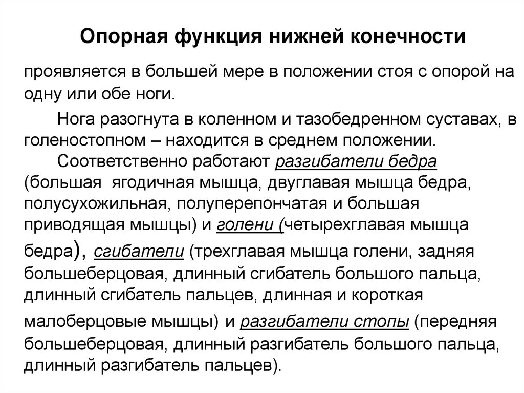 Опорная функция. Функции нижних конечностей. Опорная функция нижних конечностей. Функции нижних конечностей человека. Функции свободной нижней конечности.