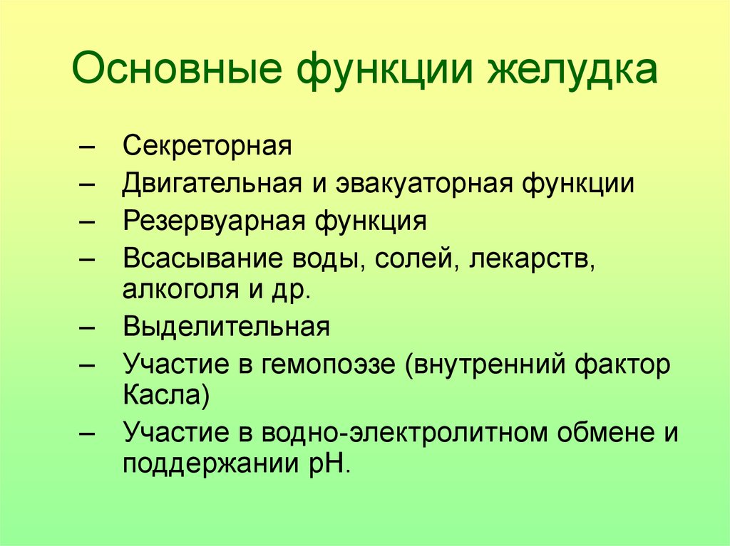 Функции желудка