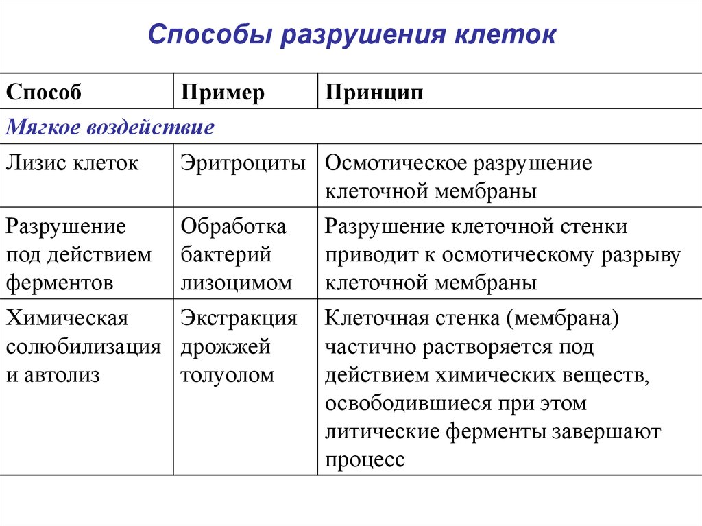 Методы клетки. Методы разрушения клеток. Методы механического разрушения клеток. Методы разрушения клеточной стенки. Процесс разрушения клетки.