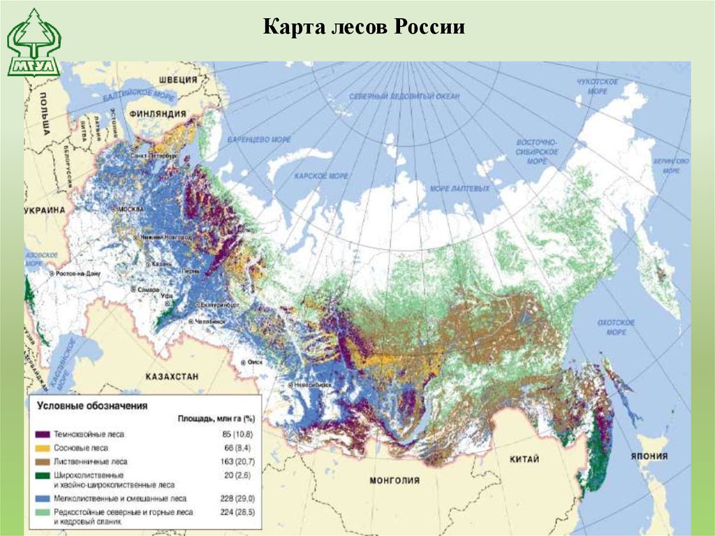 Карта лесов сибири