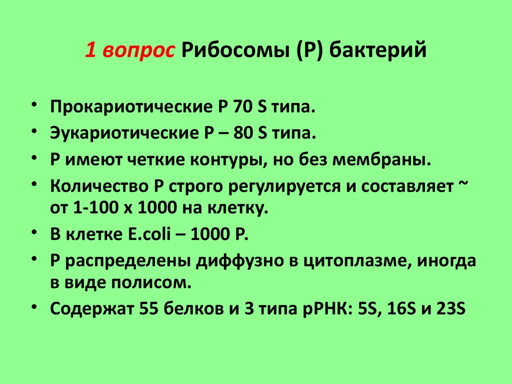 Клетка бактерий рибосомы. Рибосомы бактерий функции. Функции рибосом бактериальной клетки. Рибосомы бактериального типа. Рибосомы у бактерий 70s типа.