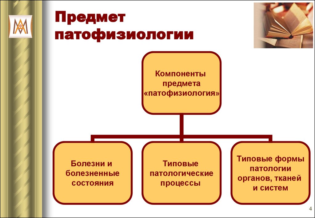 Компоненты предметов. Предмет изучения патофизиологии. Предмет ПАТ.физиологии. Предмет задачи и методы патофизиологии. Предмет и задачи патологической физиологии.