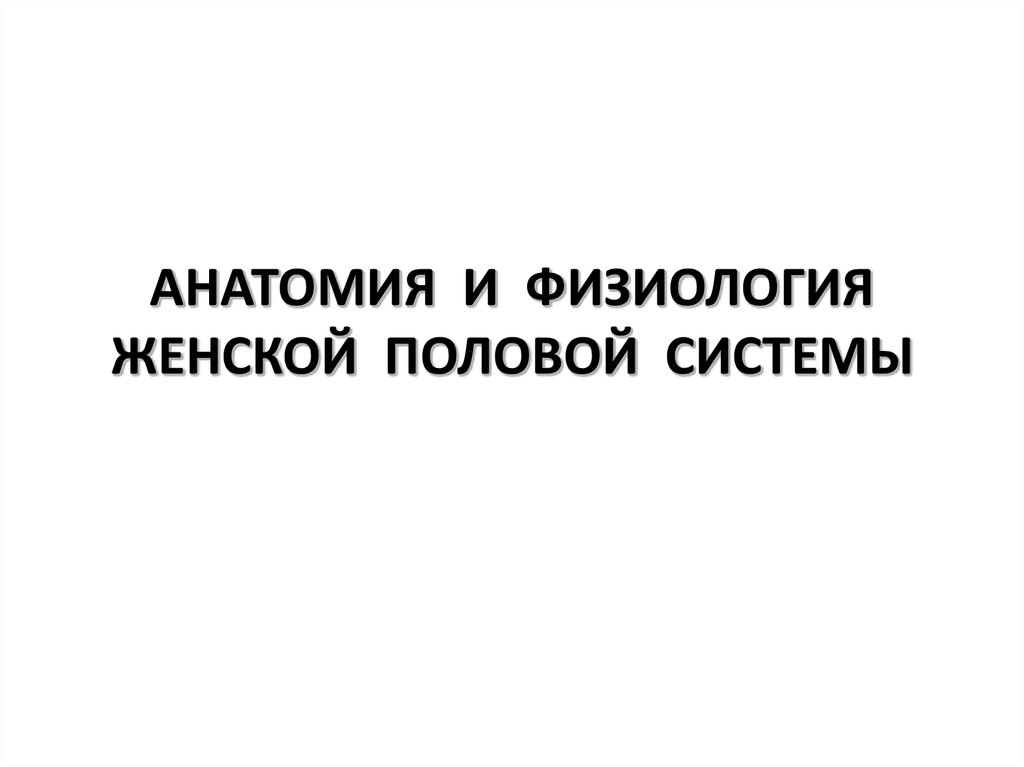 Анатомия и физиология женских половых органов презентация