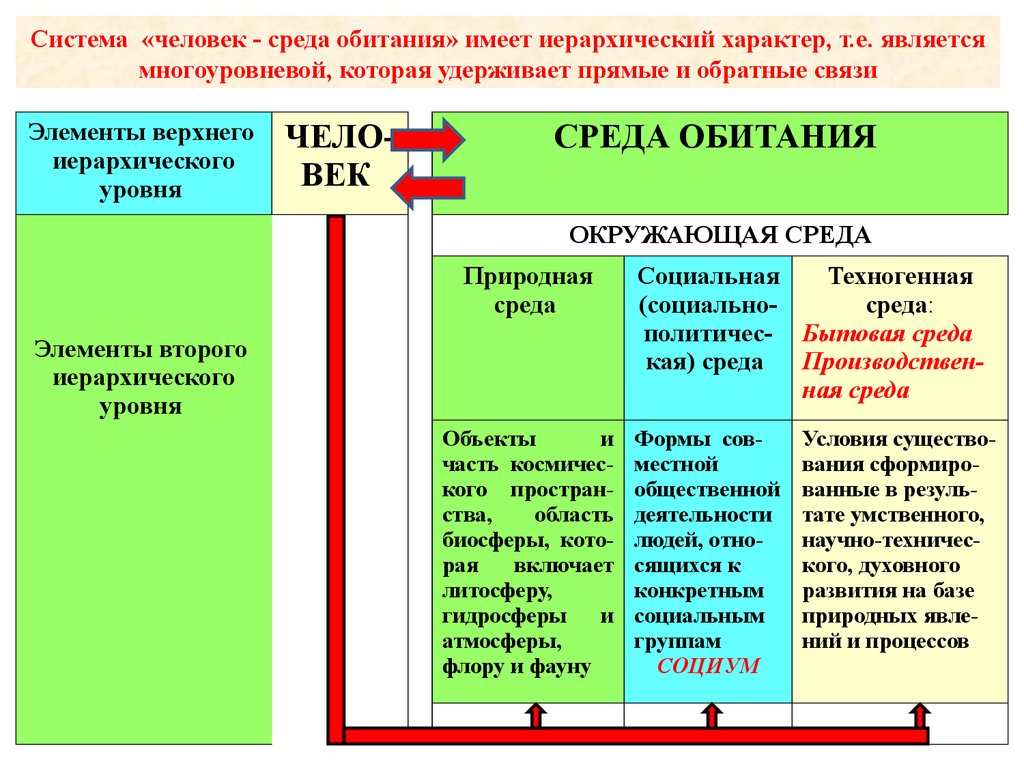 Социальная среда. Социальная среда обитания. Система человек среда обитания. Природная и социальная среда обитания человека. Уровни среды обитания человека.