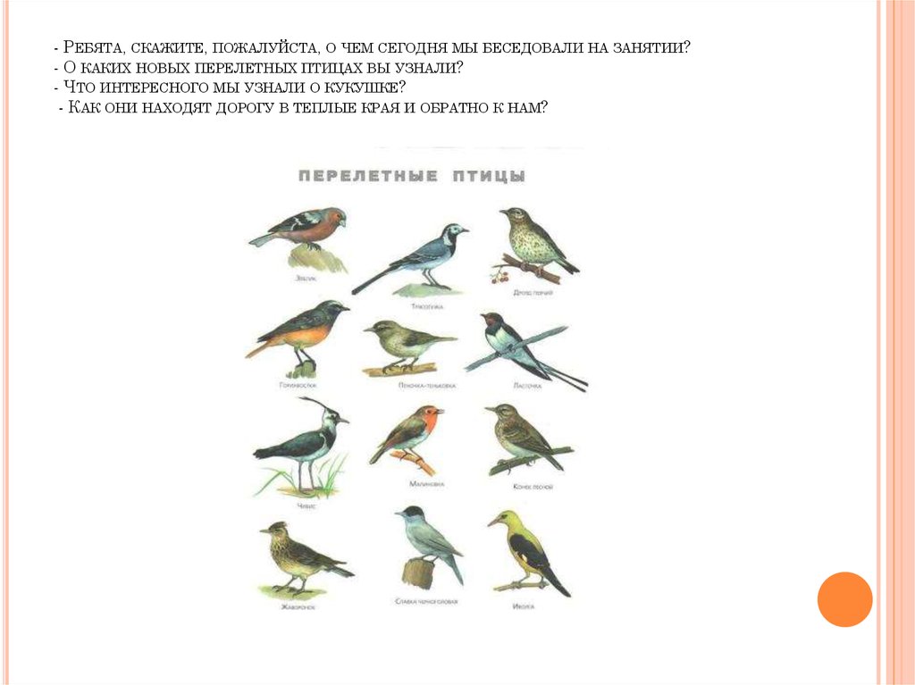 Конспект логопедического занятия перелетные птицы. Перелетные птицы задания. Задание перелетные и зимующие птицы. Перелетные птицы весной задания для дошкольников. Задания для детей перелетные и зимующие птицы.